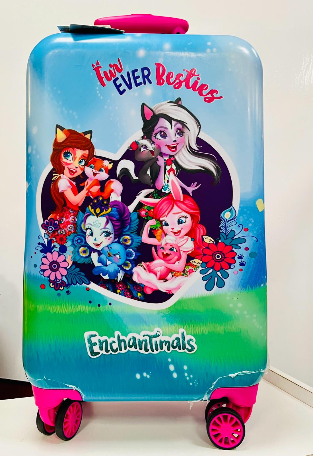 Disney Fur Ever Besties Overhead Cabin Bags 55x35x20cm Florida Pink and Blue